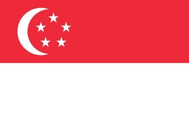 Singapore Flag International Removals Singapore Flag International Removals