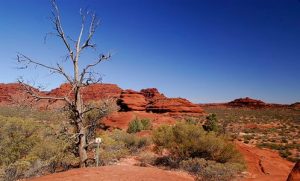 Red desert in Australia