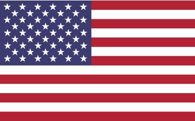 USA Flag International Removals USA Flag International Removals