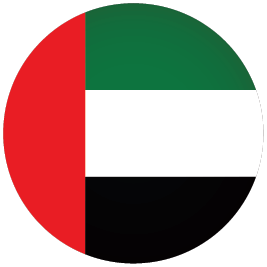 UAE Flag