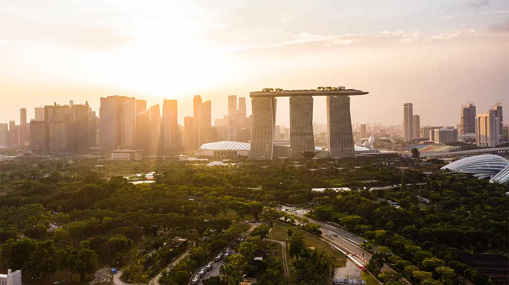 aerial view of singapore and a forest at day time