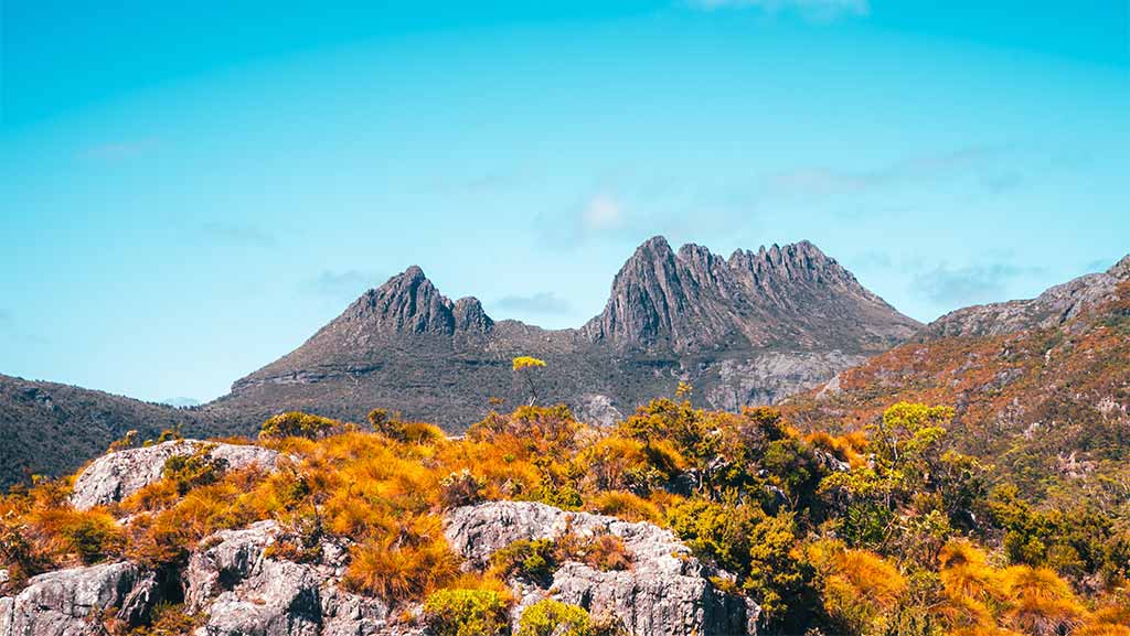 cradle mountain in tasmania