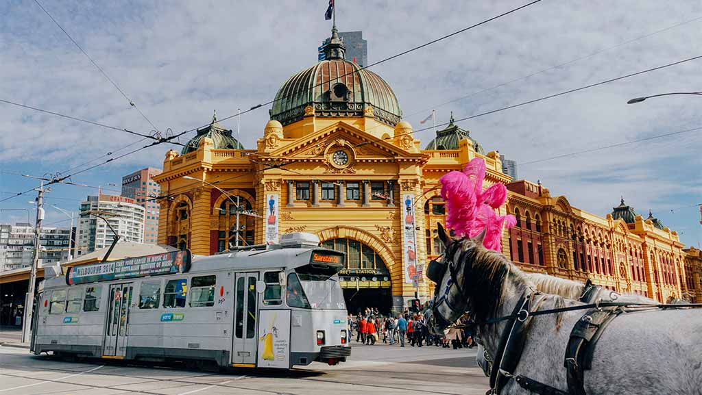 Melboune CBD with the light rail, a horse and an hold building