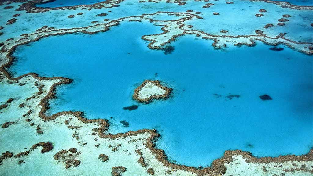 great barrier reef queensland australia