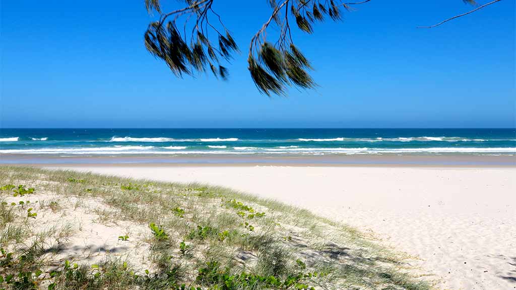 salt beach at casuarina in new south wales australia