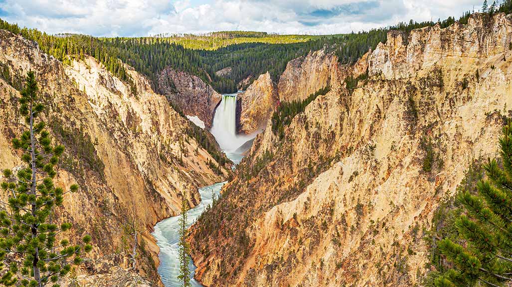 Yellowstone national park in the USA