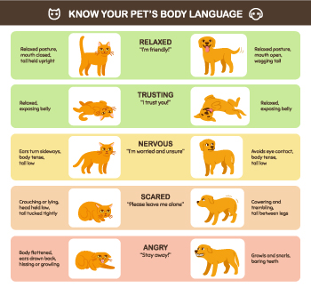 Know your pet's body language