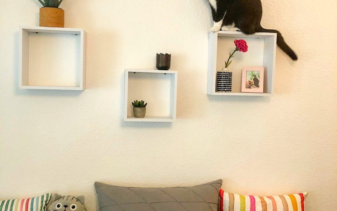 Moving with Pets